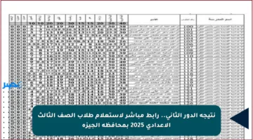 نتيجة الدور الثاني.. رابط مباشر لاستعلام طلاب الصف الثالث الإعدادي 2025 بمحافظة الجيزة